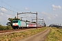 Bombardier 34480 - SNCB "2840"
09.06.2011 - Willemsdorp
André Grouillet