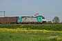 Bombardier 34482 - COBRA "2841"
09.05.2016 - Nieuwerkerk a/d IJssel
Steven Oskam