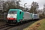 Bombardier 34483 - Alpha Trains "E 186 347-1"
06.03.2017 - Kassel, Werkanschluss Bombardier
Christian Klotz