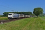 Bombardier 34679 - Lokomotion "185 663-2"
04.09.2021 - Retzbach-Zellingen
Dirk Menshausen