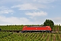 Bombardier 34692 - DB Schenker "185 388-6"
03.06.2011 - Hattenheim
Michael Kuschke