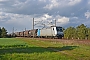 Bombardier 34698 - RTB Cargo "185 677-2"
28.04.2016 - Altenau
Marcus Schrödter