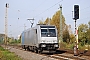 Bombardier 34720 - RTB "185 684-8"
08.10.2010 - Leipzig-Thekla
Marcus Schrödter