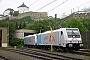 Bombardier 34726 - TXL "185 697-0"
29.05.2010 - Kufstein
Timo Albert