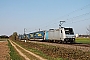 Bombardier 34743 - Railpool "185 687-1"
10.04.2020 - Buggingen
Tobias Schmidt