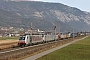 Bombardier 34756 - Railpool "186 284"
26.11.2011 - Schwaz
Thomas Girstenbrei