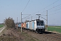 Bombardier 34766 - RTB CARGO "E 186 271-3"
22.03.2019 - Hohe Börde-Niederndodenleben
Alex Huber