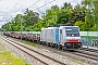 Bombardier 34828 - Lokomotion "186 287"
29.05.2025 - Haar-Gronsdorf
Mathias May