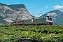 Bombardier 34837 - RCC - IT "186 288"
23.06.2018 - Mezzocorona
Riccardo Fogagnolo
