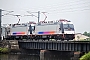 Bombardier 34856 - NJT "ALP 4632"
29.07.2010 - Little Silver, New Jersey
Christopher Urban