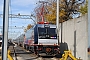 Bombardier 34874 - NJT "ALP 4650"
14.11.2010 - Long Branch, New Jersey
Christopher Urban