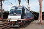 Bombardier 34902 - NJT "ALP 4505"
11.07.2012 - Hoboken, New Jersey
Robert Pisani