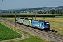 Bombardier 34936 - Railpool "187 002-1"
21.08.2013 - Wichtrach
Vincent Torterotot