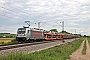 Bombardier 34936 - TXL "187 002-1"
09.06.2022 - Buggingen
Tobias Schmidt