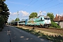 Bombardier 34940 - MAV "480 009"
28.07.2025 - SiófokFrank Thomas
