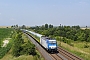 Bombardier 34968 - MÁV "480 022"
06.07.2013 - Biatorbágy
Ákos Károly