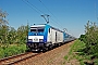 Bombardier 34968 - MÁV "480 022"
21.05.2014 - Békéscsaba
Peter Pacsika