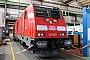 Bombardier 35000 - DB Regio "245 003"
20.09.2025 - Cottbus, DB Werk
Thomas Wohlfarth