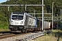 Bombardier 35058 - TXL "187 007-0"
18.07.2024 - Effingen
Peider Trippi