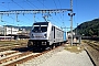 Bombardier 35059 - Railpool "187 008"
01.09.2014 - Emmenbruck/Chiasso
Giuseppe Russo