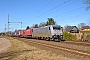 Bombardier 35060 - TXL "185 418-3"
08.03.2014 - Owschlag
Jens Vollertsen