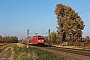 Bombardier 35081 - DB Regio "146 271"
16.11.2018 - Bornheim
Sven Jonas