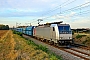 Bombardier 35122 - CTL "186 264-8"
30.09.2026 - HeddesheimWolfgang Mauser