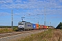 Bombardier 35145 - Metrans "386 006-1"
02.10.2016 - Neuburxdorf
Marcus Schrödter