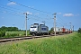 Bombardier 35154 - Metrans "386 001-2"
01.06.2017 - Gramatneusiedl
Marcus Schrödter