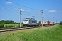 Bombardier 35154 - Metrans "386 001-2"
01.06.2017 - Gramatneusiedl
Marcus Schrödter