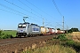 Bombardier 35168 - Metrans "386 015-2"
20.07.2016 - Niederndodeleben
Daniel Berg