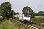 Bombardier 35179 - RTB CARGO "186 421-4"
13.09.2021 - Gruiten-Ellscheid
Martin Welzel