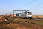 Bombardier 35192 - LINEAS "186 427-1"
07.03.2025 - Warsage
Philippe Smets