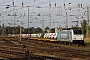 Bombardier 35194 - RBP "186 436-2"
23.09.2024 - Falkenberg (Elster)
Dany Neumann