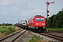 Bombardier 35206 - DB Fernverkehr "245 022"
12.07.2016 - Klanxbüll
Holger Grunow