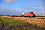 Bombardier 35206 - DB Fernverkehr "245 022"
08.01.2022 - Emmelsbüll-Horsbüll (Niebüll), BÜ Triangel
Jens Vollertsen