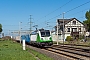 Bombardier 35229 - SETG "187 316-5"
30.04.2019 - Erfurt-Vieselbach
Tobias Schubbert