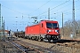 Bombardier 35231 - DB Cargo "187 110"
06.02.2019 - Bad Belzig
Rudi Lautenbach