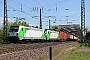 Bombardier 35232 - SETG "187 302-5"
08.05.2022 - Magdeburg, Elbe-Brücke
Thomas Wohlfarth