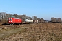 Bombardier 35239 - DB Cargo "187 113"
15.02.2017 - Menden (Rheinland)
Ronnie Beijers