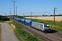 Bombardier 35249 - Raildox "187 312-4"
02.07.2025 - Großkorbetha
Daniel Berg