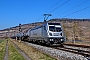 Bombardier 35251 - RheinCargo "187 072-4"
03.03.2022 - Thüngersheim
Wolfgang Mauser