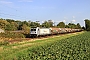 Bombardier 35261 - RheinCargo "187 079-9"
08.09.2026 - Kaarst, BroicherseitePhilippe Smets