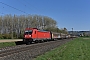 Bombardier 35267 - DB Cargo "187 120"
11.04.2019 - Retzbach-Zellingen
Mario Lippert