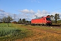 Bombardier 35288 - DB Cargo "187 084"
05.05.2021 - Wiesental
Wolfgang Mauser