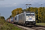 Bombardier 35294 - Metrans "186 455-2"
01.11.2016 - Zw. Vechelde und Groß Gleidingen
Rik Hartl