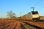 Bombardier 35297 - Crossrail "186 458-6"
27.02.2019 - Walluf-Niederwalluf (Rheingau)
Kurt Sattig