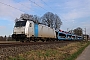 Bombardier 35342 - LINEAS "186 293-7"
09.03.2024 - Mehrhoog
Julian van Bekkum