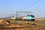 Bombardier 35351 - LINEAS "186 454-5"
08.03.2025 - Warsage
Philippe Smets