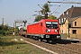 Bombardier 35427 - DB Cargo "187 135"
27.09.2017 - Oberlahnstein
Leo Stoffel